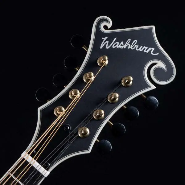 Washburn M118SW - Mandolin - Vintage Natural Mandolin - Image 2