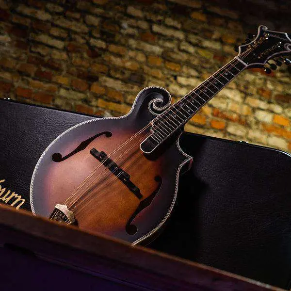 Washburn M118SW - Mandolin - Vintage Natural Mandolin - Image 3