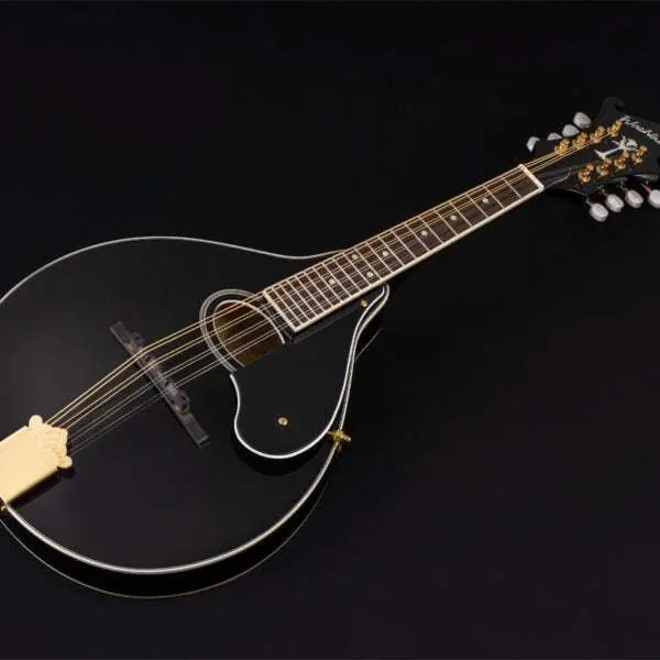 Washburn M1SD - Mandolin - Black Mandolin - Image 3