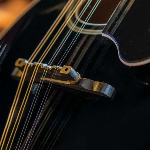 Washburn M1SD - Mandolin - Black Mandolin - Image 4