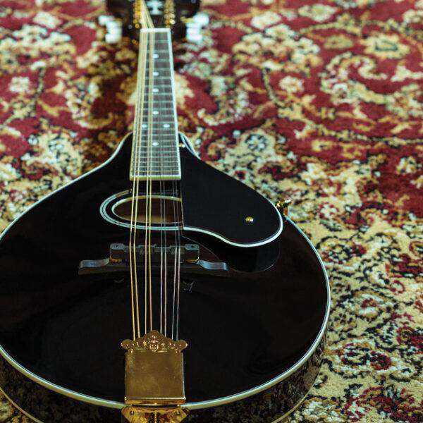 Washburn M1SD - Mandolin - Black Mandolin - Image 5