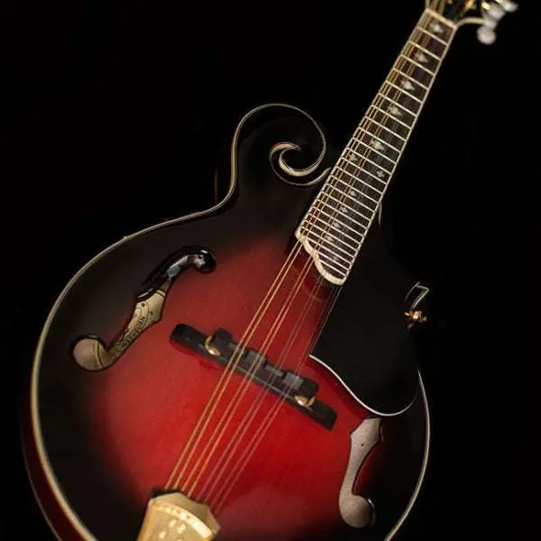 Washburn M3SWE - Mandolin - Trans Wine Red Mandolin - Image 2