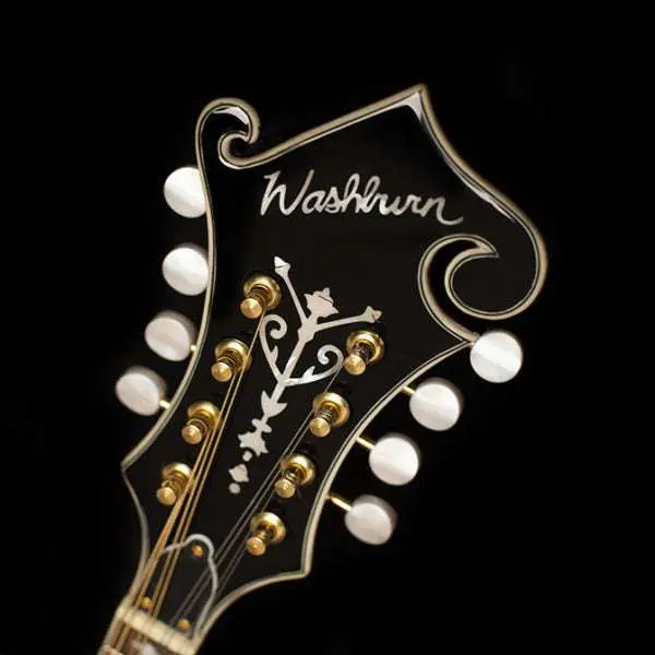 Washburn M3SWE - Mandolin - Trans Wine Red Mandolin - Image 3