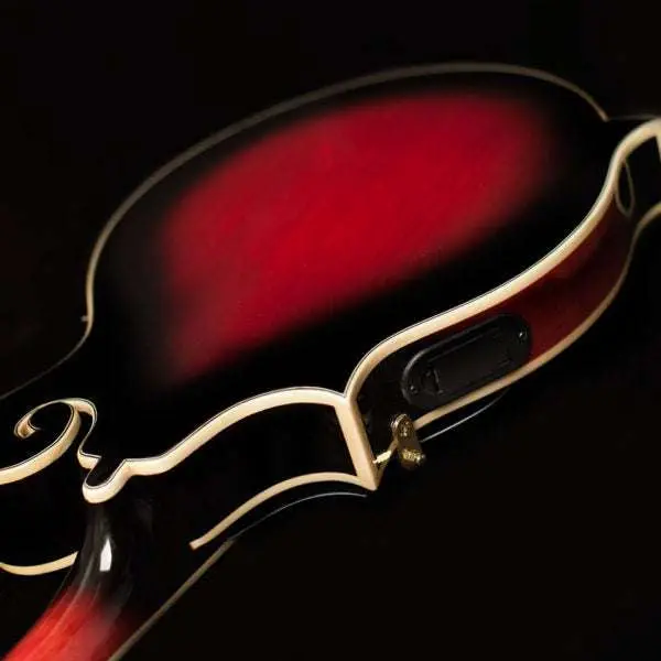 Washburn M3SWE - Mandolin - Trans Wine Red Mandolin - Image 4