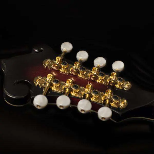 Washburn M3SWE - Mandolin - Trans Wine Red Mandolin - Image 6