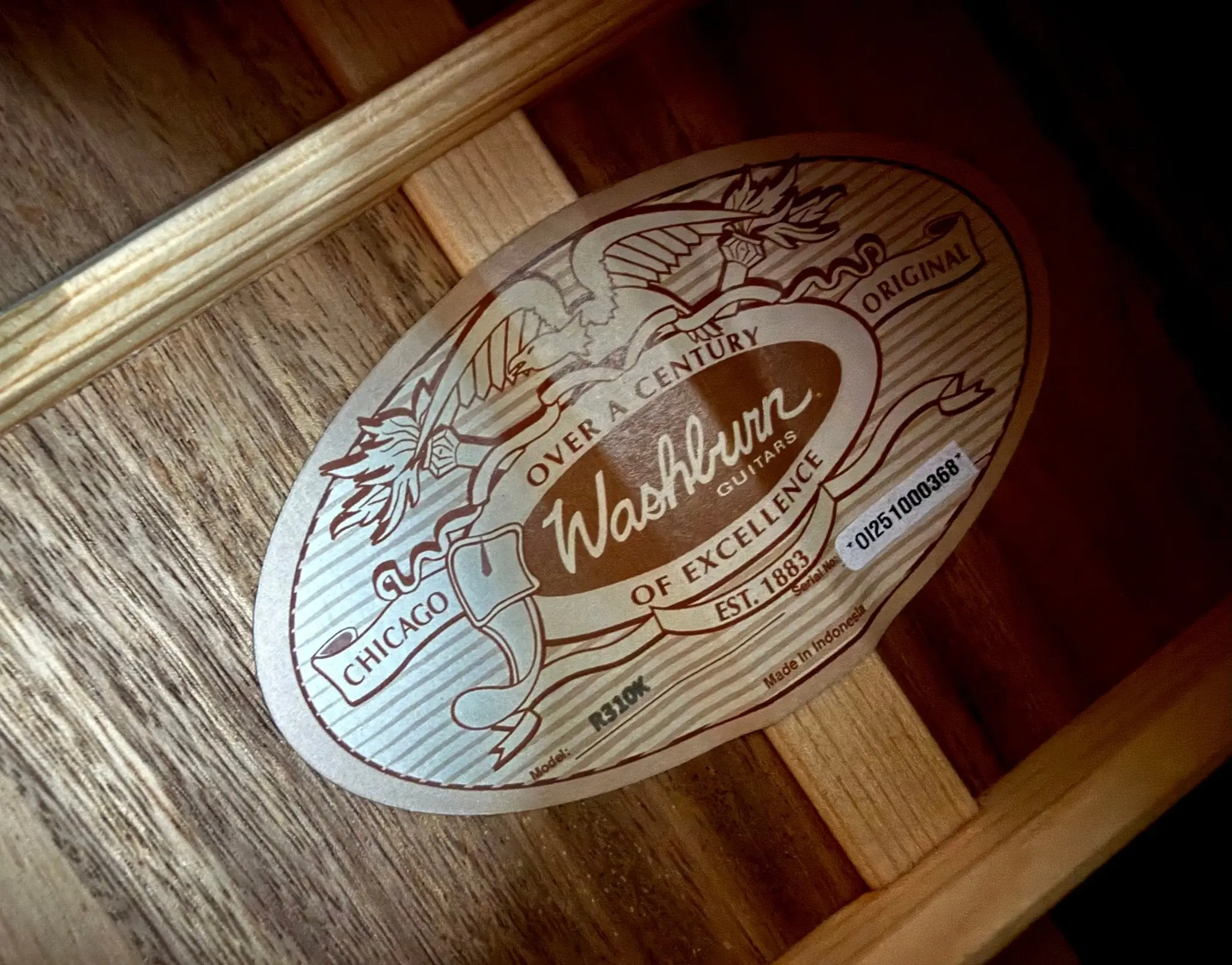 Washburn R310 Victorian Parlor Guitar. Gorgeous, Authentic & Wonderful! - Image 16
